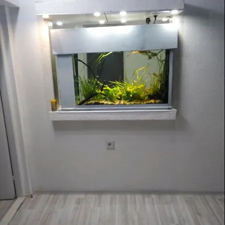 Apartment - Vraca *